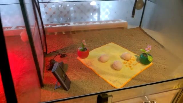 VLOG: НАУЧНЫЙ ЦЕНТР AHHAA В ТАРТУ. AHHAA Science Centre. смотреть онлайн