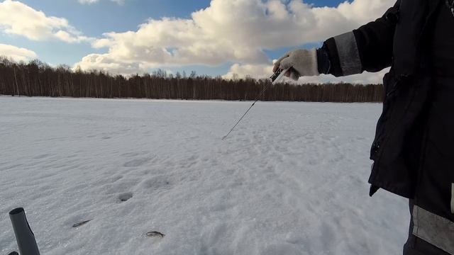 Зимняя блесна своими руками - ТЕСТ. смотреть онлайн