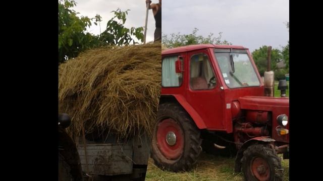Заготовка сена 2015 смотреть онлайн