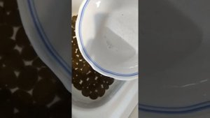Соль со стеклом(1)