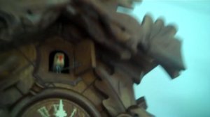 Cuckoo clock collection(May 2018)