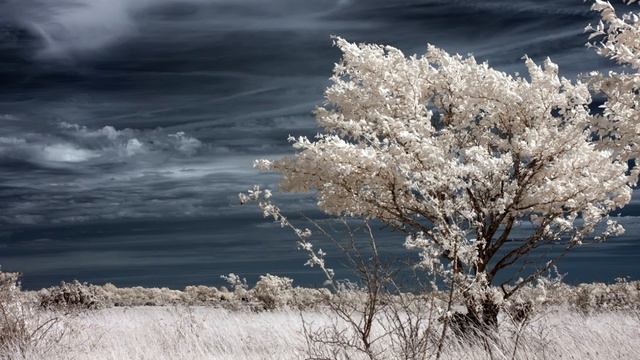 Verdi - I vespri siciliani, Overture - Giulini смотреть онлайн