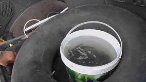 Запускаем карпа в пруд на огороде.