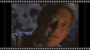 Chris Rea for Svetusya