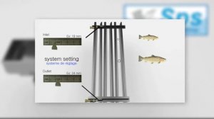 Сортировка живой рыбы HELIOVISION FISHGRADER (принцип работы)