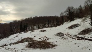 Зима в Сочи, Илларионовка на участке 1га. Красота!!!