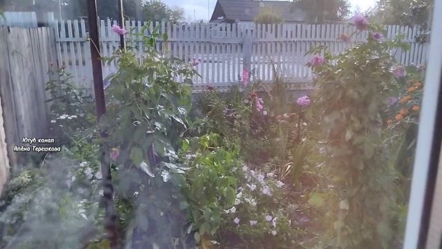 Три дня жизни в деревне/Картошка/Куда девать тыквы?В деревне на кухне/Как вкусно приготовить щуку