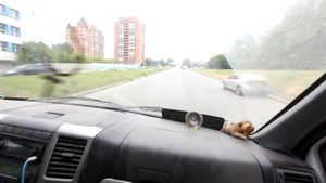 ГАЗель 3UZ-FE, японский двигатель 4.3 литра V8. ГАЗель-монстр. 2020