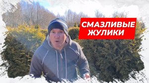 ⚡Смазливые жулики! Анекдот для Вас!⚡