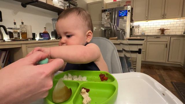 Maverick tries Chicken Breast - Baby Led Weaning (9 months) смотреть онлайн