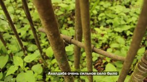 Про опустевшие грузинские села в Абхазии
