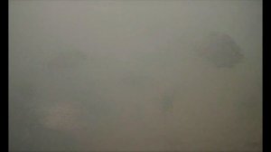 Рыбалка в «Стрелецком ручье»