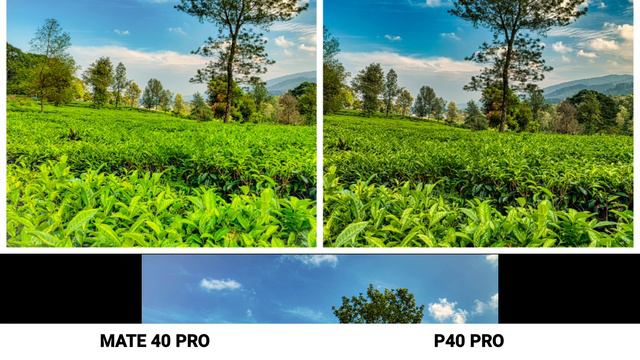 Huawei Mate 40 Pro Vs Huawei P40 Pro Camera Comparsion смотреть онлайн