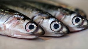 Мелкая речная рыба, но в магазинах по цене красной икры!