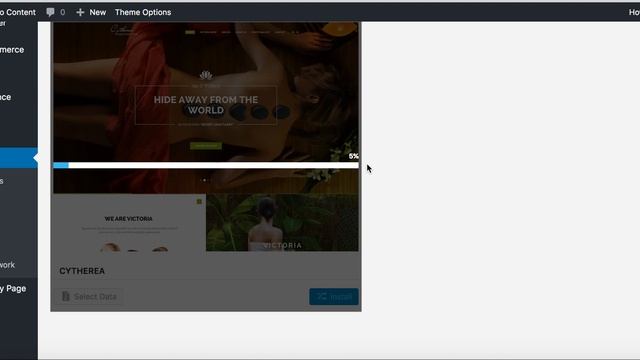 Cytherea - Installation and Demo Data for WordPress Theme смотреть онлайн