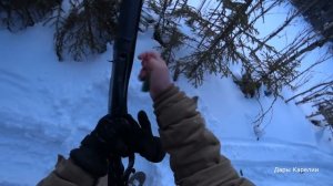 ОХОТА НА ВОЛКА С ФЛАЖКАМИ. СНОВА ОТСТРЕЛЯЛСЯ. ВЫПУСК №95. ОХОТА С РУЖЬЁМ Bernardelli mega synthetic