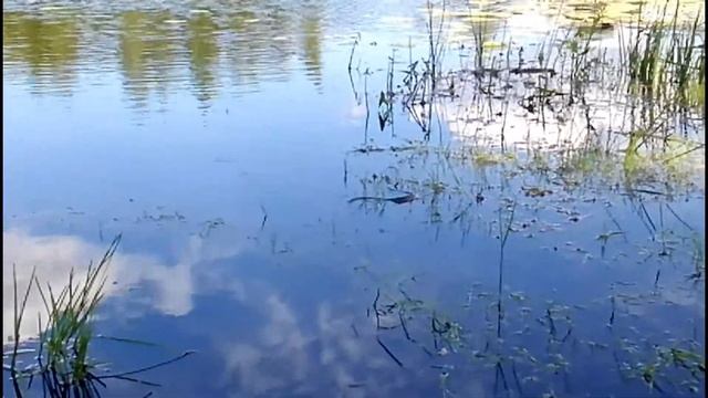 такого я еще не ловил,вот это улов,всем уловам улов