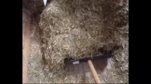 измельчитель соломы,сена,кукурузы для мотоблока