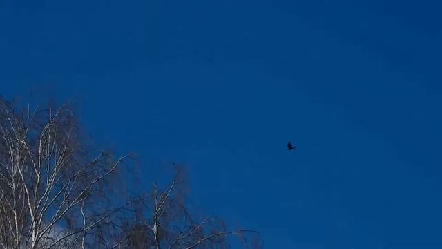 begin. смотреть онлайн