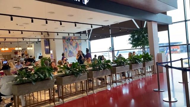 КАРШЕРИНГ до аэропорта ШЕРЕМЕТЬЕВО ?Ресторан в аэропорту для пассажиров БИЗНЕС КЛАССА ?ЦЕНЫ на еду смотреть онлайн