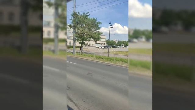 наше путешествиепо Санкт - Петербургу 👍🏼(Васька,спортивная)