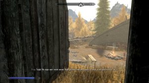 Все реакции компаньонов на вырезанное заклинание невидимости в TES V : Skyrim Anniversary Edition