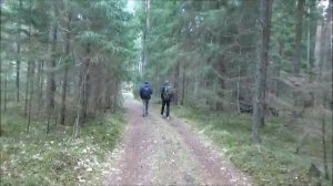 Поход в Дремучий Лес