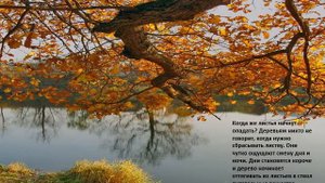 почему бывает листопад