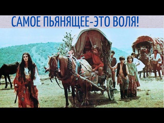 Нет такого коня на котором от самого себя ускакать можно! / Фильм "ТАБОР УХОДИТ В НЕБО"- Разбор.