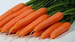 Гибрид моркови Лагуна