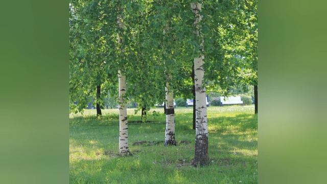 БЛАЖЕННАЯ ПАШЕНЬКА..ПО ТУ СТОРОНУ ЖИЗНИ.. С КЕМ ОБЩАЮТСЯ И КОГО ВИДЯТ БЛАЖЕННЫЕ?! смотреть онлайн