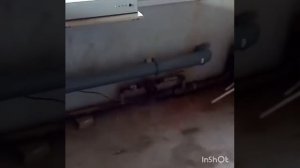 Зота Магнум35 . Зота смарт21.