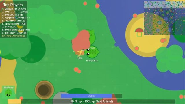 MOPE.IO ЕНОТ !! ОЧЕНЬ ХИТРЫЙ ЗВЕРЬ !! НОВАЯ ИДЕЯ ЖИВОТНЫХ !! смотреть онлайн