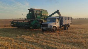Уборку озимого ячменя закончили.