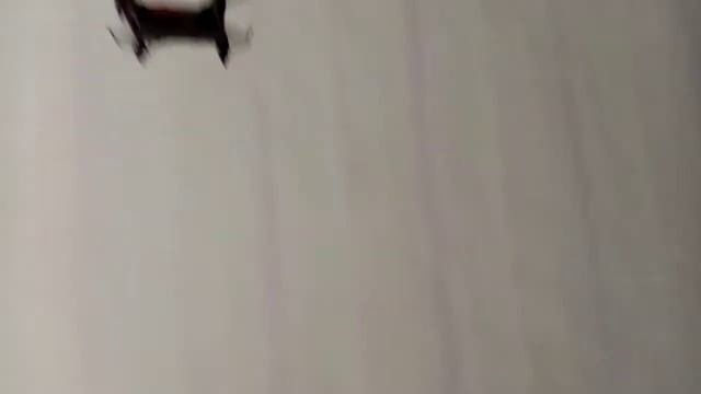 Пердолет (-_-)