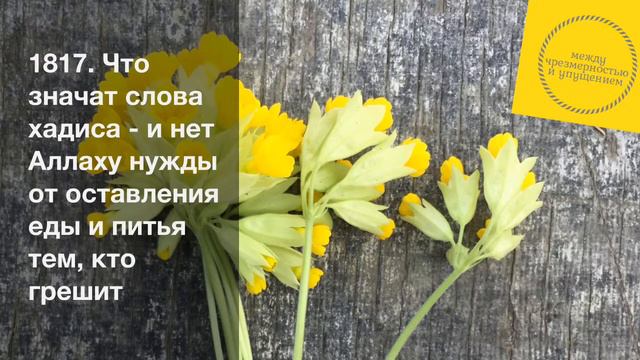 Что значат слова хадиса - и нет Аллаху нужды от оставления еды и питья тем, кто грешит смотреть онлайн