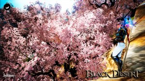 БДО: Фарм компаса.