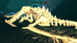 Skyrim With Mods