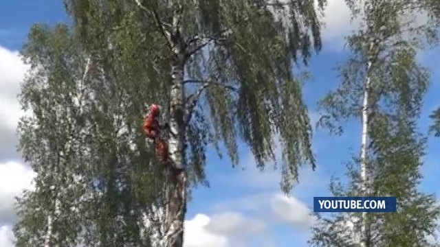 Журнал происшествий 08.10.14 (16+) смотреть онлайн