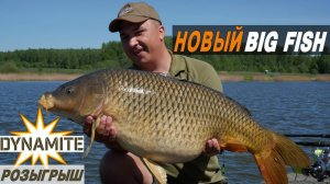 4 СХОДА РАДИ ТРОФЕЯ. ОДИН НА РЫБАЛКЕ ВЕСНОЙ. Солянка, тактика ловли, розыгрыш..