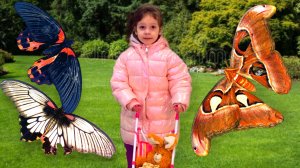 Алиса в парке с настоящими тропическими бабочками