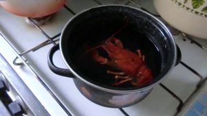 Сварил рака живьем:(