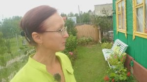 Видео привет с 6 соток 26 июля 2023 года.