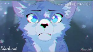 Коты воители клип {Lovely}