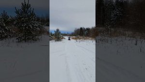 Ирбис Тунгус 600L