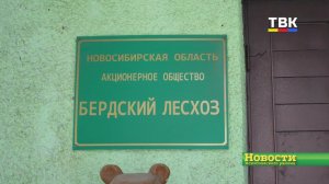 Глава поощрил работников лесхоза за тушение пожаров и сохранение лесов Искитимского района