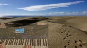 Долгая дорога в дюнах на синтезаторе (Cover)