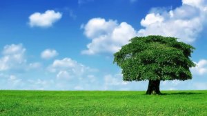 [1 Час] Исцеляющая музыка для медитации на Тамбуру - Сердечную чакру | Звуки Таанпуры