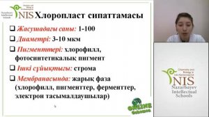 30102013 Хлоропласттың құрылысы мен қызметі арасындағы байланыс