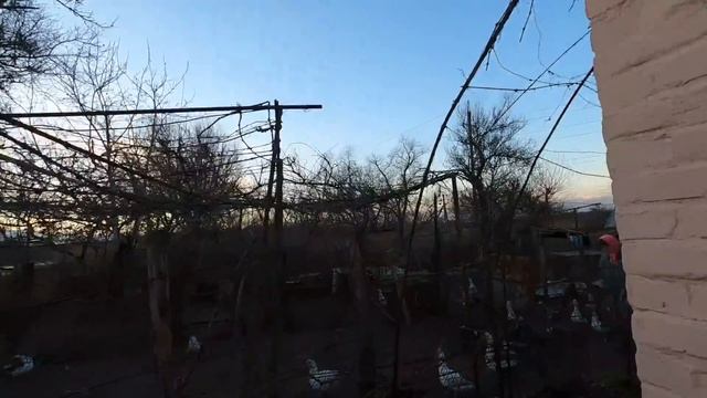 ДОМ У РЕКИ?Павловский район/Цена 1 млн. 100 т.₽